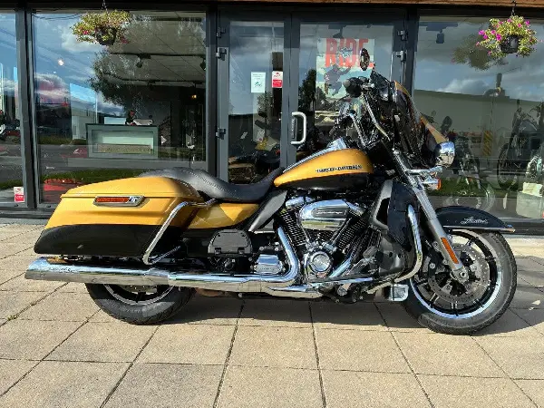 Bild